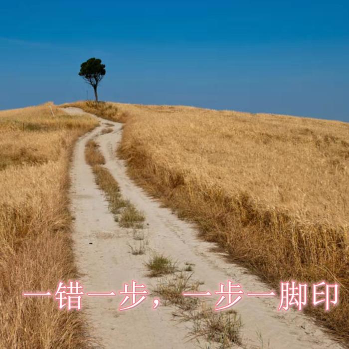 记录那些落选的试音--彭某人-