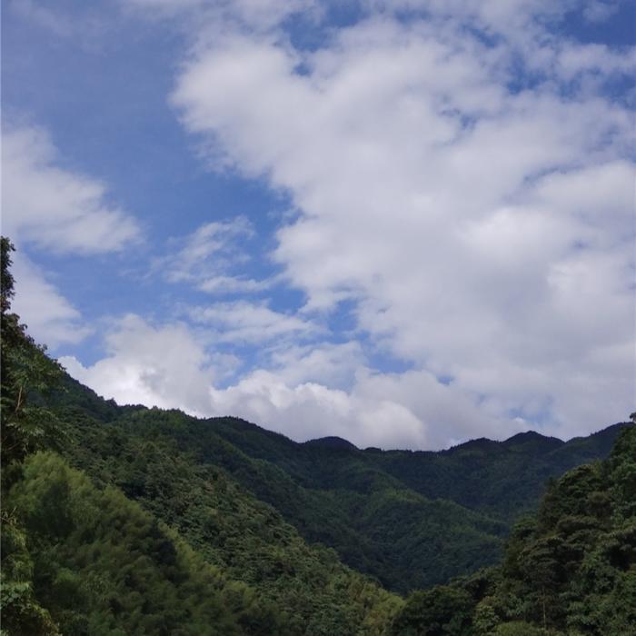 婠婠练成记--官婠婠-佚名