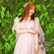 梦飞DJ专辑--梦飛-佚名