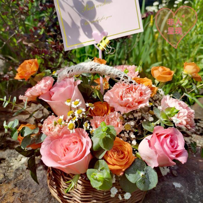 我要对你说--非人呈现-佚名