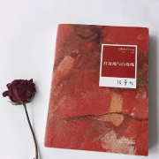 共录一本书/红玫瑰与白玫瑰--主播在月大星-