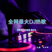 全网最火DJ热歌-佚名-九分甜