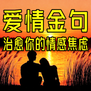 爱情金句：治愈你的情感焦虑-霸气女王-坤蕾热播书