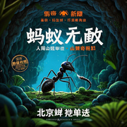 -佚名-落木凌风