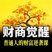 财商觉醒：普通人的财富翻身课-躺平的阿Q-书曌有声