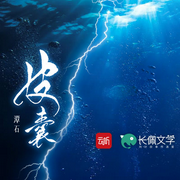 皮囊|全四季）|多人有声剧|悬疑剧情|都市情感|面具下的真相-潭石-云听有声