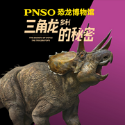 PNSO恐龙博物馆：三角龙多利的秘密-佚名-主播森宇股份