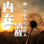 -佚名-书音有声书