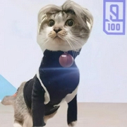 -佚名-主播蔡汐汐