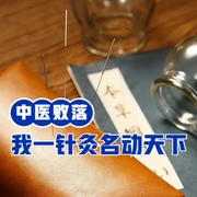 中医败落|我一手针灸名动天下-佚名-洁锋