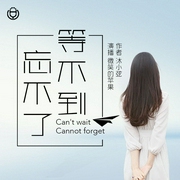 等不到，忘不了-沐小弦-主播桑梓讲故事，主播苹果