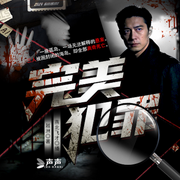 完美犯罪：撕碎你的不在场证明-越洲-先森文学