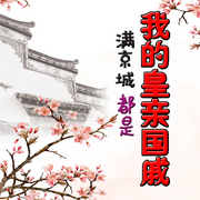 满京城都是我的皇亲贵戚-佚名-苏家囤