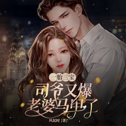 一胎三宝：司爷又爆老婆马甲了-风起时-霓可可_兔，是柠檬草啊，那年时七