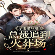 孕妻带球逃，总裁追到火葬场-佚名-pzz