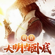 我在大明当卧底-剑罡-必看小说
