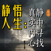 静悟人生：静中寻找真实内心--夜声未眠