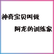 神奇宝贝叫做阿龙的训练家-佚名-万岁男孩