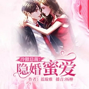 冷傲总裁：隐婚蜜爱-蓝璇雅-逐浪小说网，杨柳