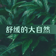 舒缓的大自然 – 为了放松、休息、冥想的音乐，New Age音乐，让放松的大自然声音，器乐--主播KANJIAN疗愈_静心助眠-佚名