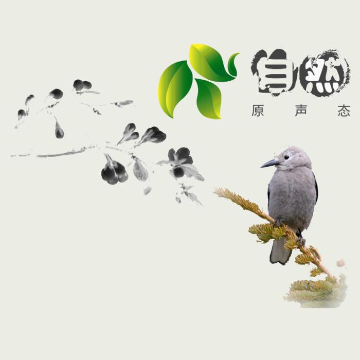 田野的方向--福生无量-佚名