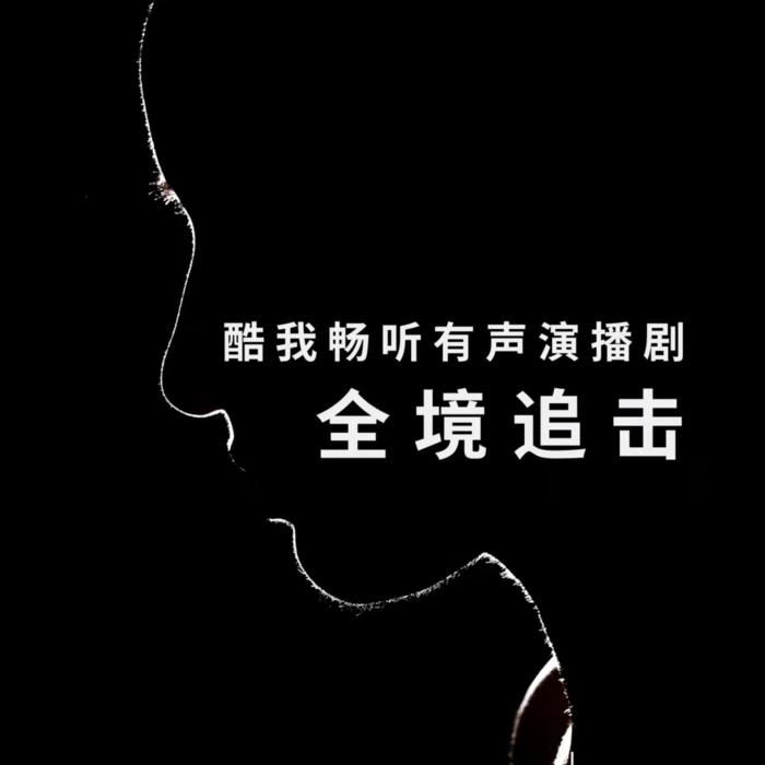 刑侦推理有声演播小说：《全境追击》--我是扬声-佚名