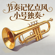 节奏记忆点风小号独奏-佚名-环尼疗愈