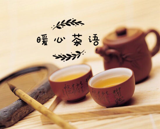 暖心茶语--月季花茶-