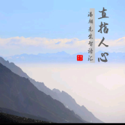直指人心--清珠-佚名