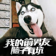 我的前男友脑子有坑|双男主纯爱|当霸总遇到二哈-佚名-招财猫有声工作室