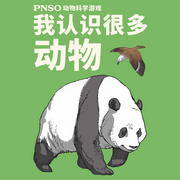 -佚名-主播森宇股份