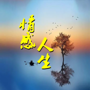 情感人生--洛烨-佚名
