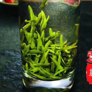学茶千问--燕雀之声-佚名