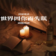 世界因你而失眠 | 助眠哄睡 | 情感夜话--夜晚的声音-佚名