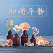 和谐平静 – 冥想音乐，消除疲劳的音乐，按摩音乐，在家里水疗，减压的歌曲--KANJIAN疗愈-静心助眠-佚名