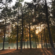 原创静心舒眠纯音乐--音乐人胖可-佚名