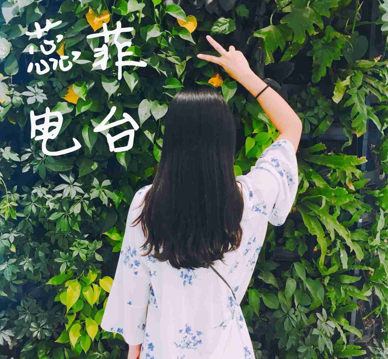 蕊菲电波--蕊菲-佚名