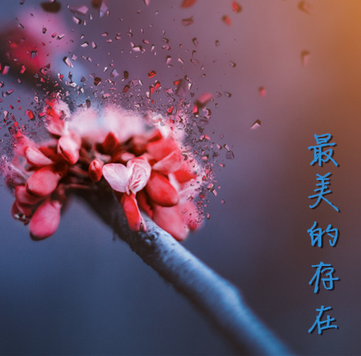 最美的存在--良辰-之聲-佚名