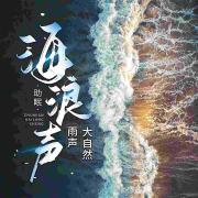 助眠情绪疗愈音乐|哄睡催眠|孕妇婴儿|海之序章原创--观沧海文化-佚名