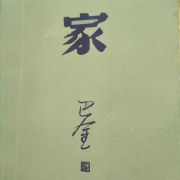 激流三部曲之《家》--采情-