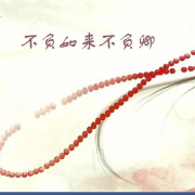 不负如来不负卿--飞-佚名