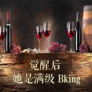 觉醒开挂爽文合辑--白日梦想家-