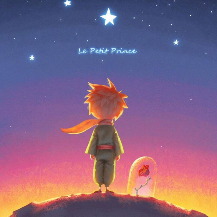 小王子--言加麦-