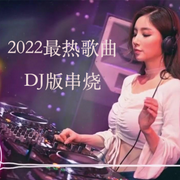 最热歌曲DJ版串烧-佚名-Ting心情