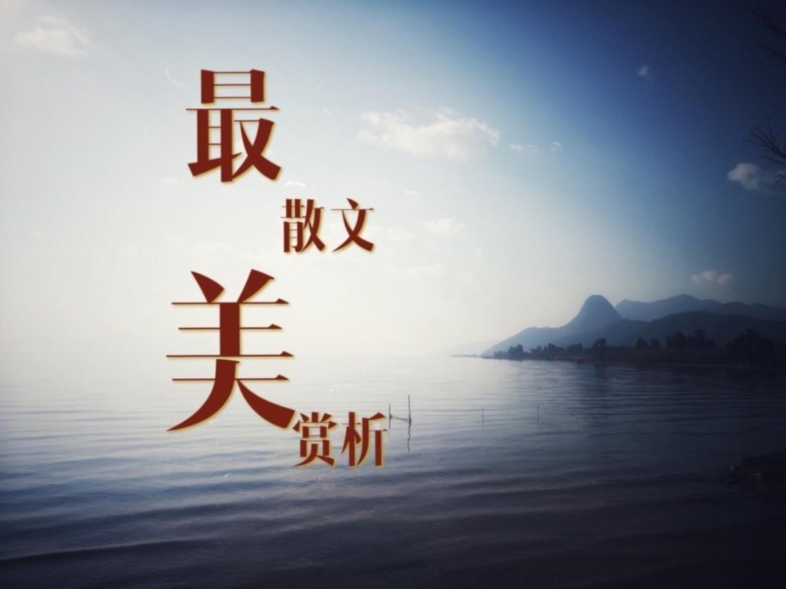 最美散文赏析--阡陌的小花-
