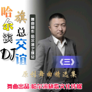 哈尔滨DJ旗总交谊原创舞曲精选集《三》--哈尔滨DJ旗总音乐工作室-佚名