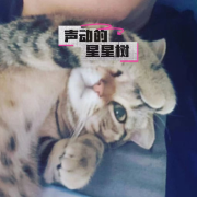 有声演播学习印记--主播声动的星星树-