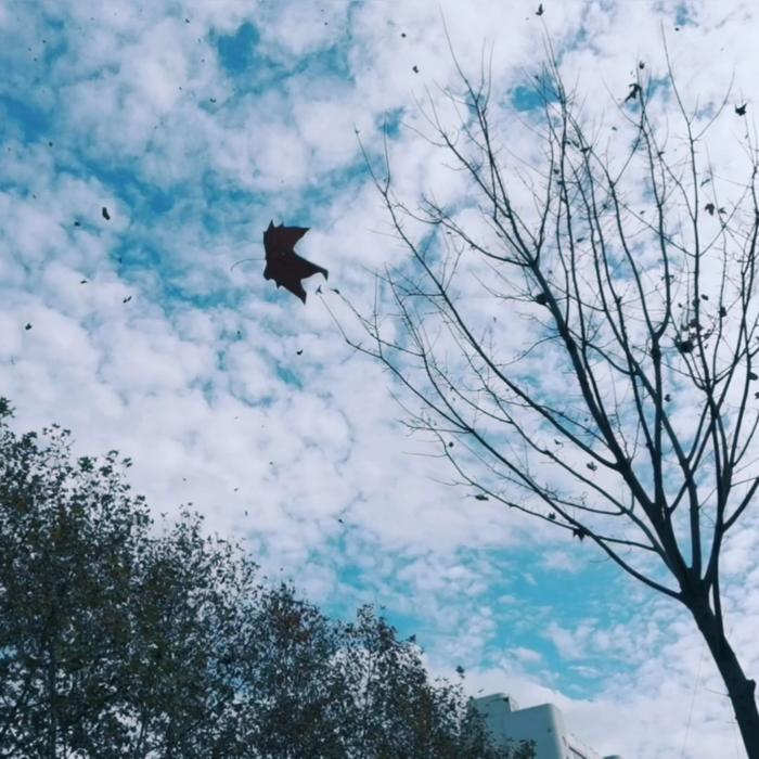 Bluebubble的诗--bluebubbleblue-佚名