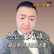 哈尔滨DJ旗总(精品原创舞曲精选集)VIP尊享版--哈尔滨DJ旗总音乐工作室-佚名