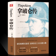 《拿破仑传》--几何式-佚名